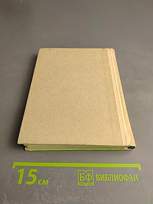 Улицы пригородов Ленинграда