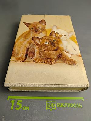 BI-Lexikon Rassekatzen