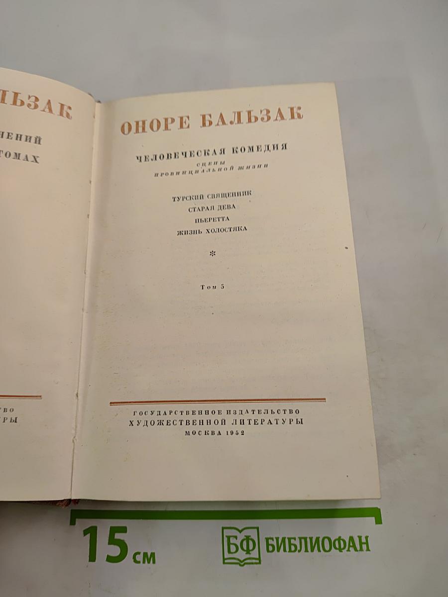 Человеческая комедия. Сцены провинциальной жизни. Том 5