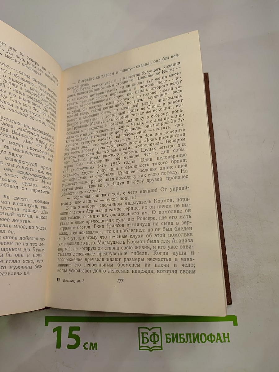 Человеческая комедия. Сцены провинциальной жизни. Том 5