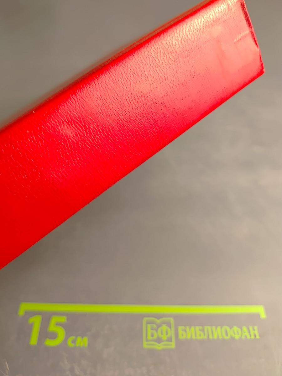 Криминальная любовь