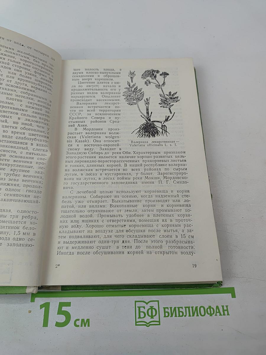 Лекарственные растения и их использование