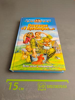 Операция «У Лукоморья...»