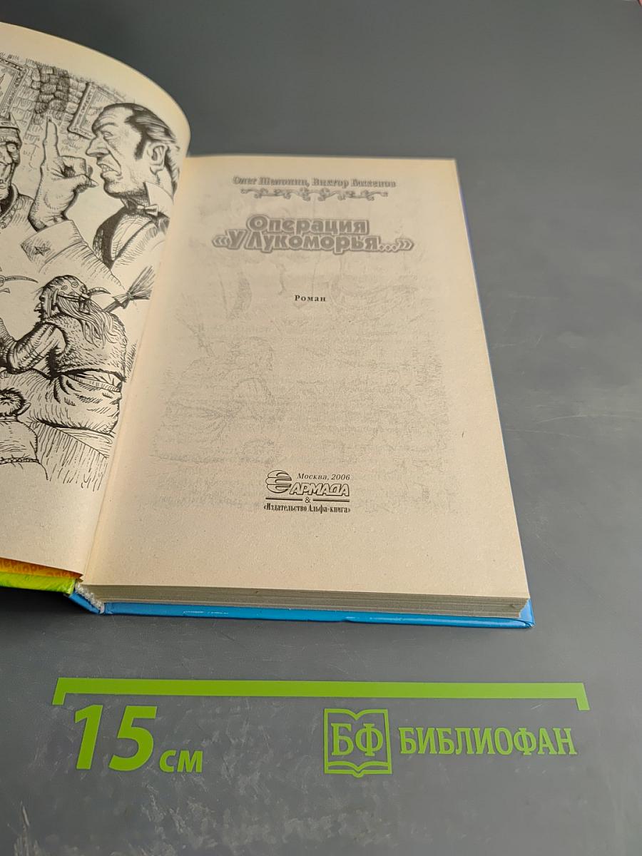 Операция «У Лукоморья...»