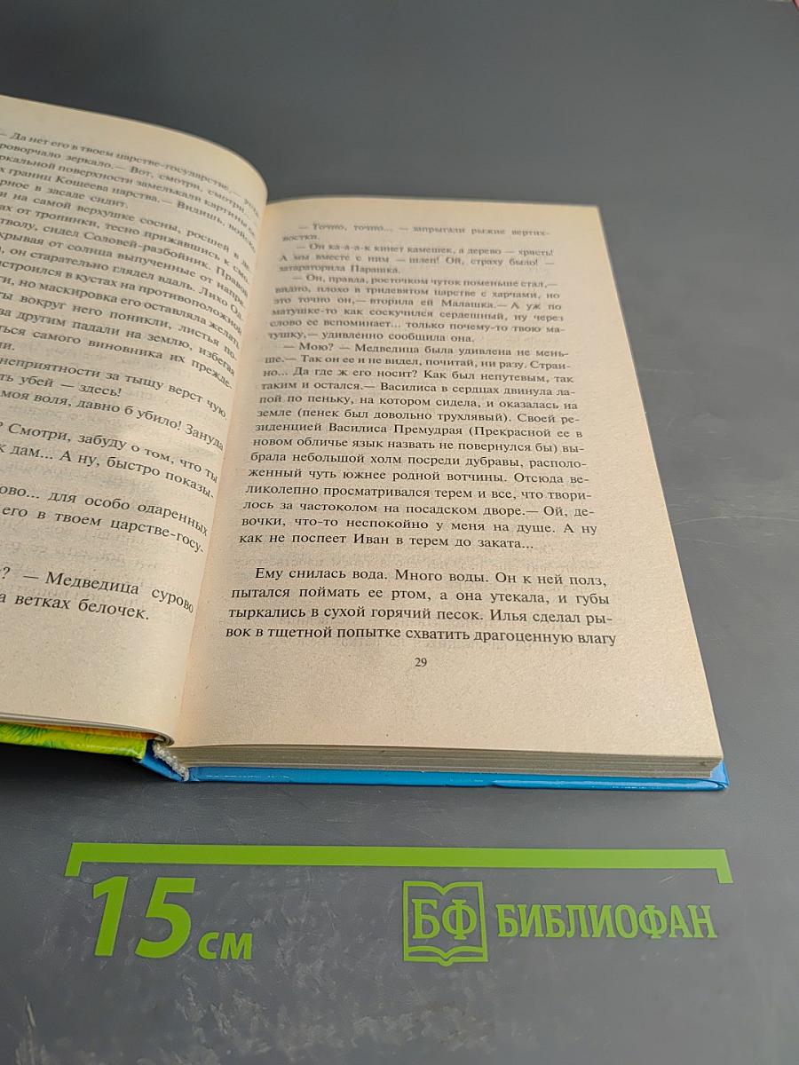 Операция «У Лукоморья...»