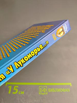 Операция «У Лукоморья...»