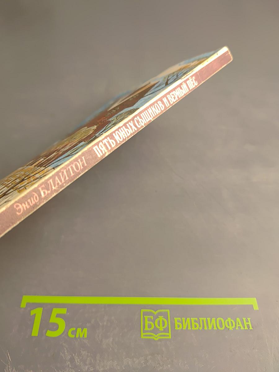 Пять юных сыщиков и верный пёс. Тайна комнаты, которую ото всех скрывали