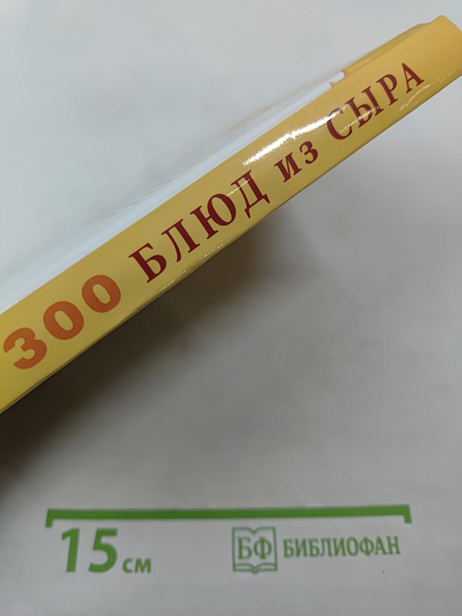 300 Блюд из сыра