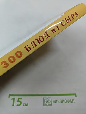 300 Блюд из сыра