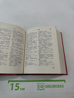 Карманный чешско-русский и русско-чешский словарь