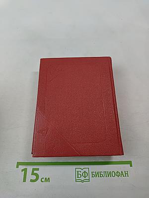 Карманный чешско-русский и русско-чешский словарь