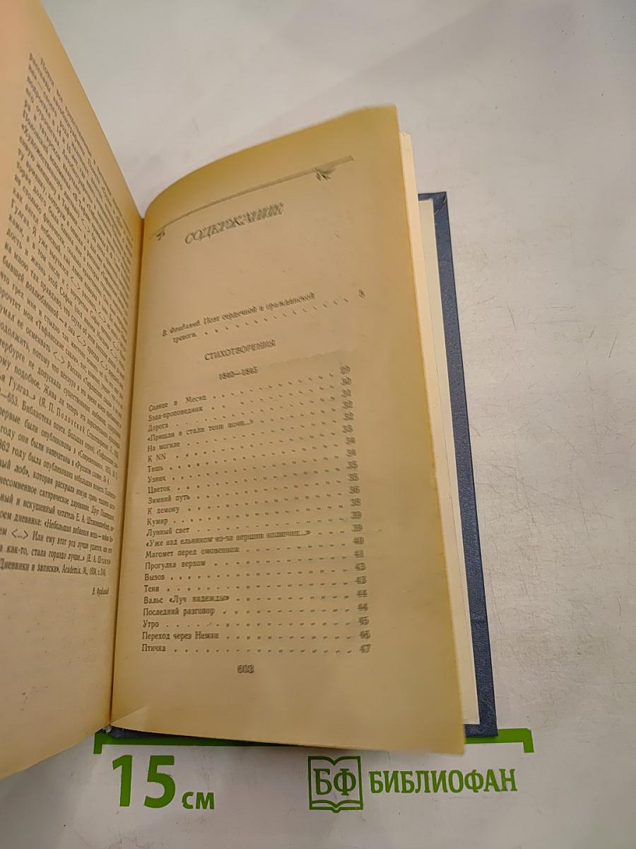 Я.П. Полонский. Лирика • Проза