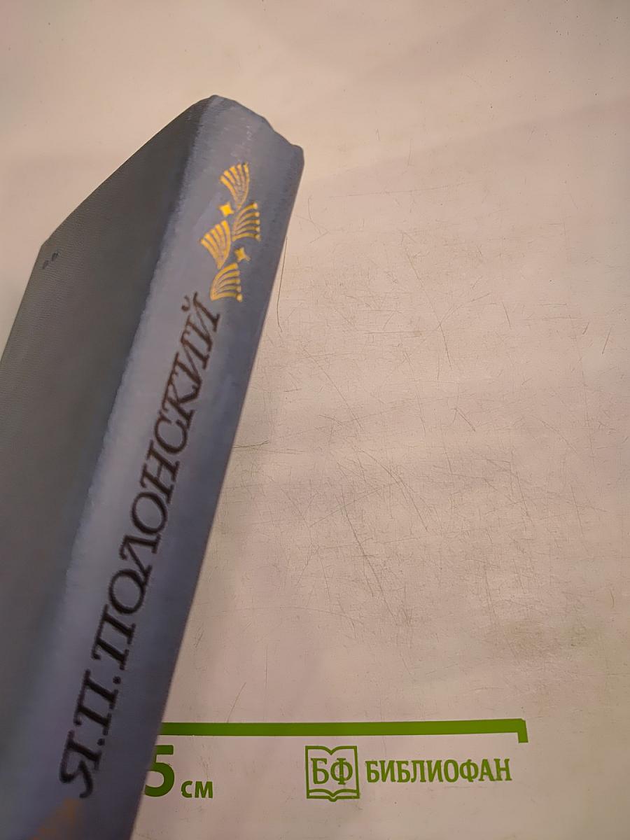 Я.П. Полонский. Лирика • Проза