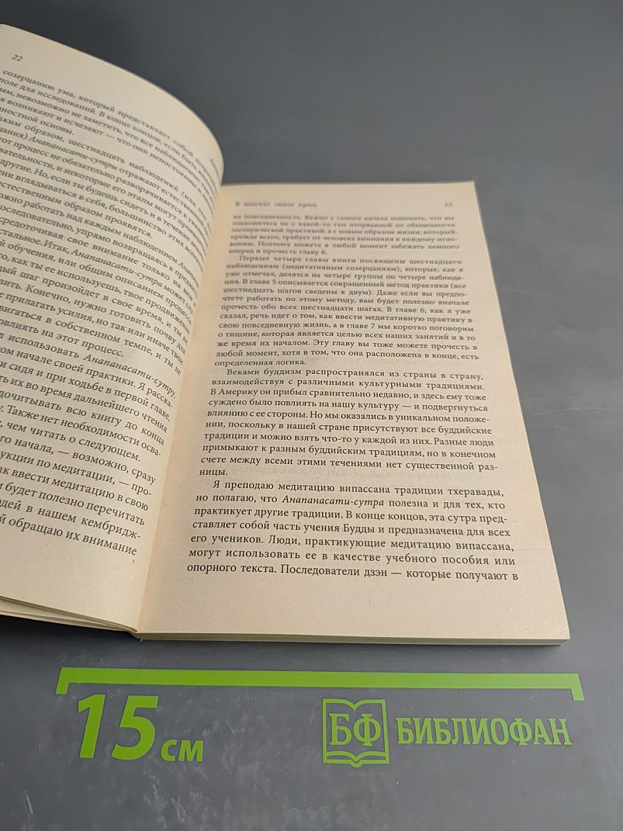 Секреты медитативного дыхания. Медитация випассана