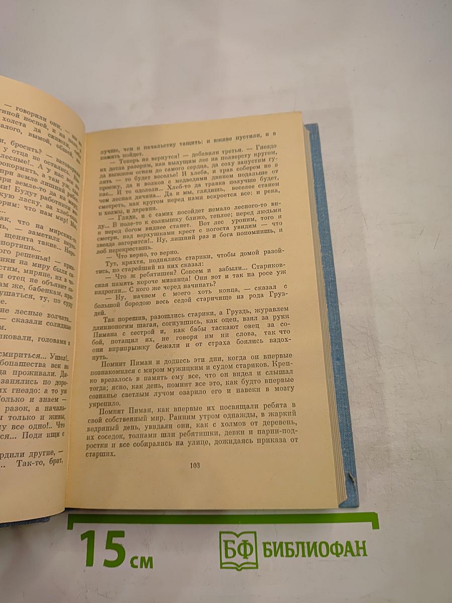 Вечное Солнце. Русская социальная утопия и научная фантастика (вторая половина XIX - начало XX века)