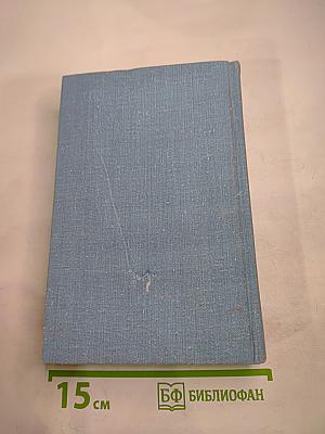 Вечное Солнце. Русская социальная утопия и научная фантастика (вторая половина XIX - начало XX века)