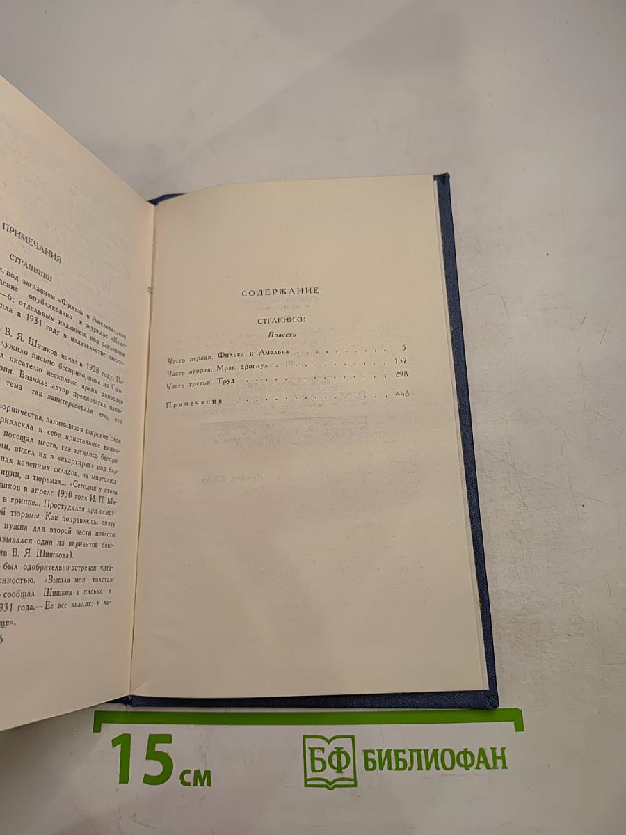 Собрание сочинений в десяти томах. Том 4: Странники