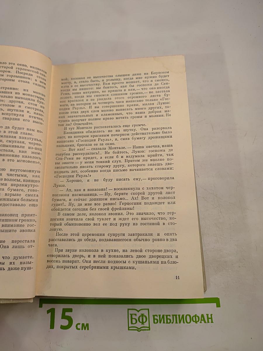 Виконт де Бражелон, или Десять лет спустя. Том I