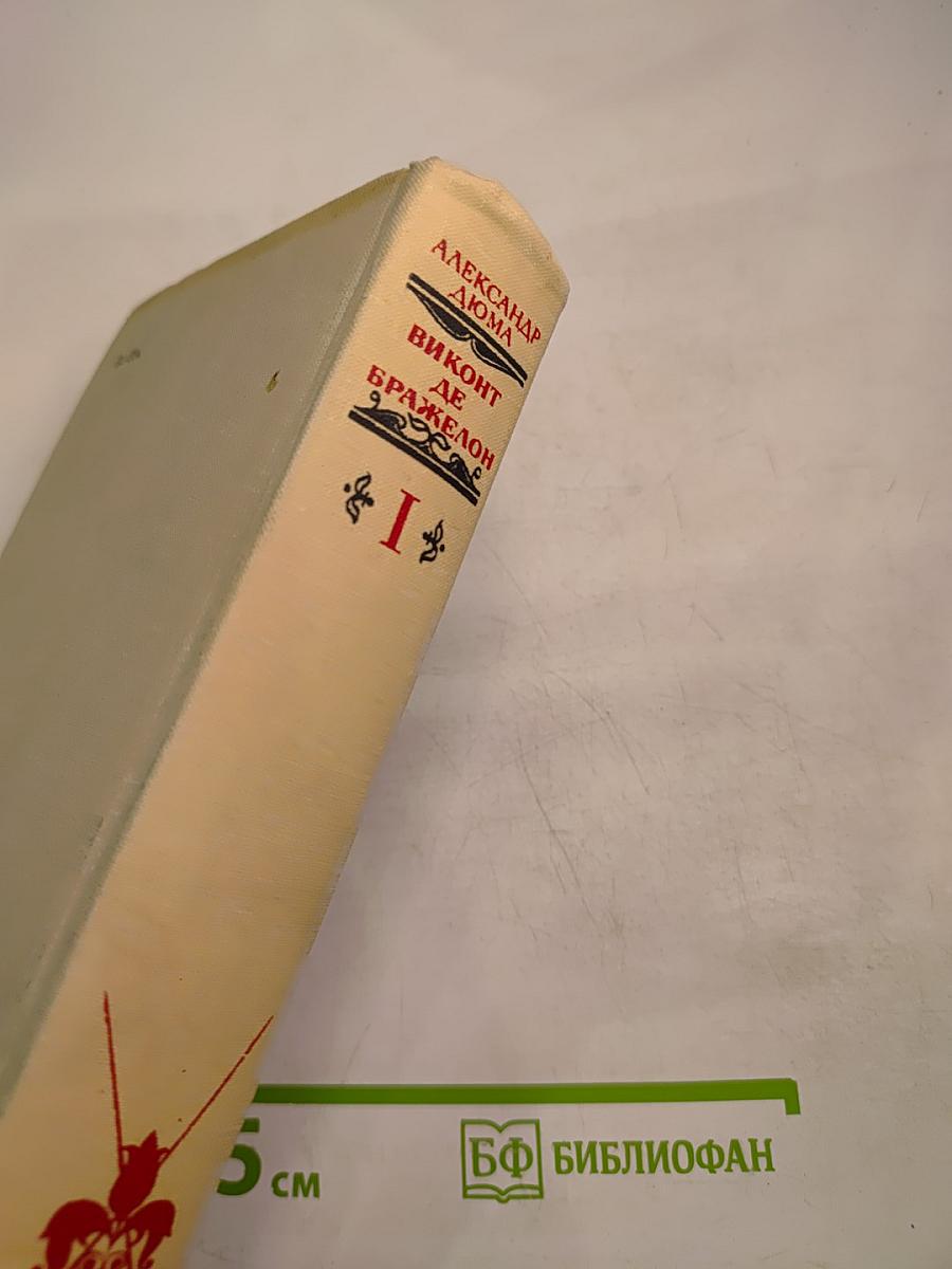 Виконт де Бражелон, или Десять лет спустя. Том I