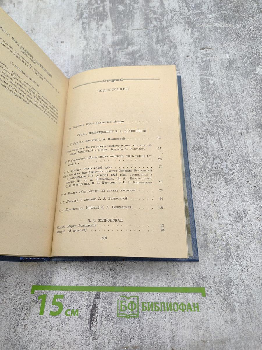 В царстве муз: Московский литературный салон Зинаиды Волконской 1824-1829 гг.