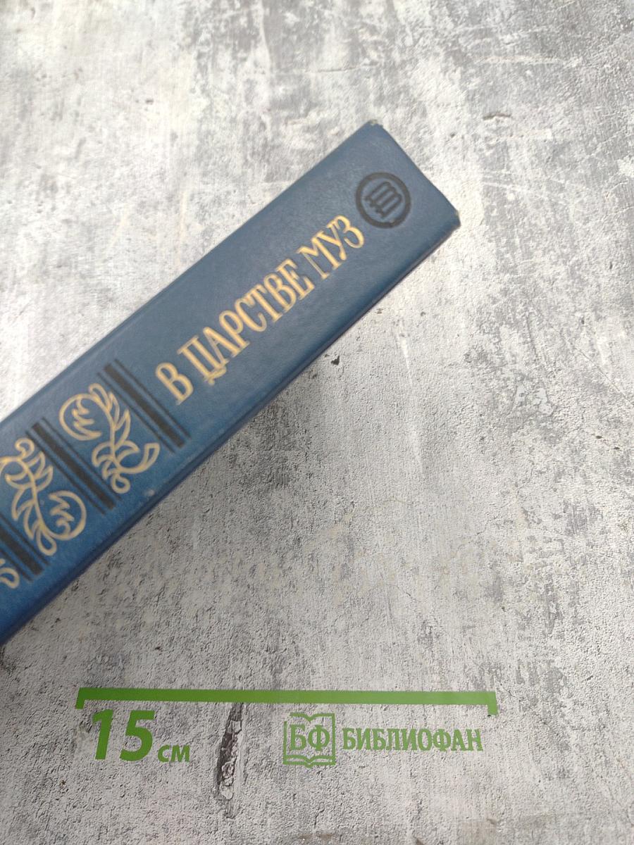 В царстве муз: Московский литературный салон Зинаиды Волконской 1824-1829 гг.