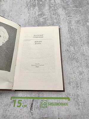 Жизнь поэта