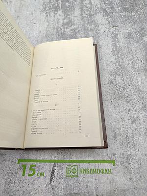 Жизнь поэта