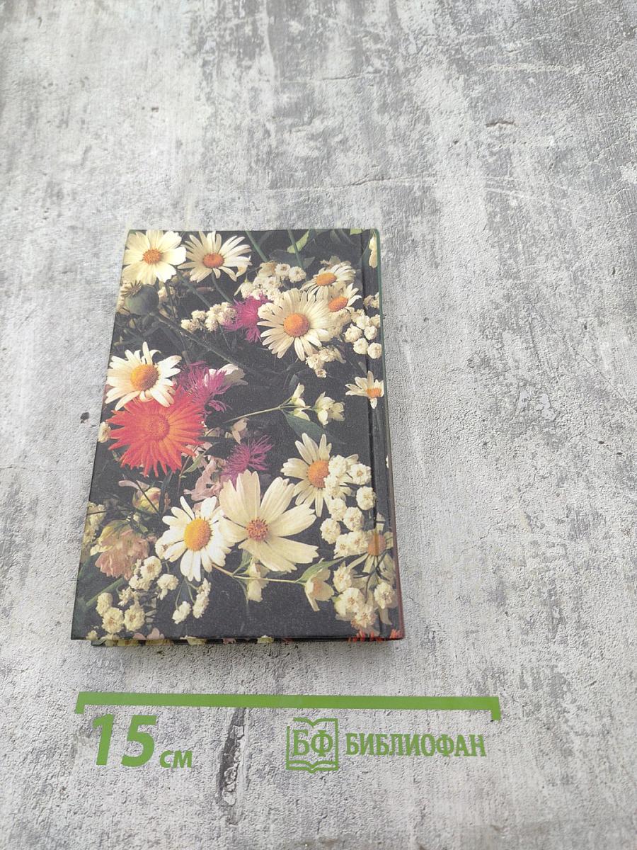 Божья Аптека. Скорая помощь в дорогу