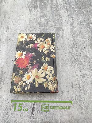 Божья Аптека. Скорая помощь в дорогу