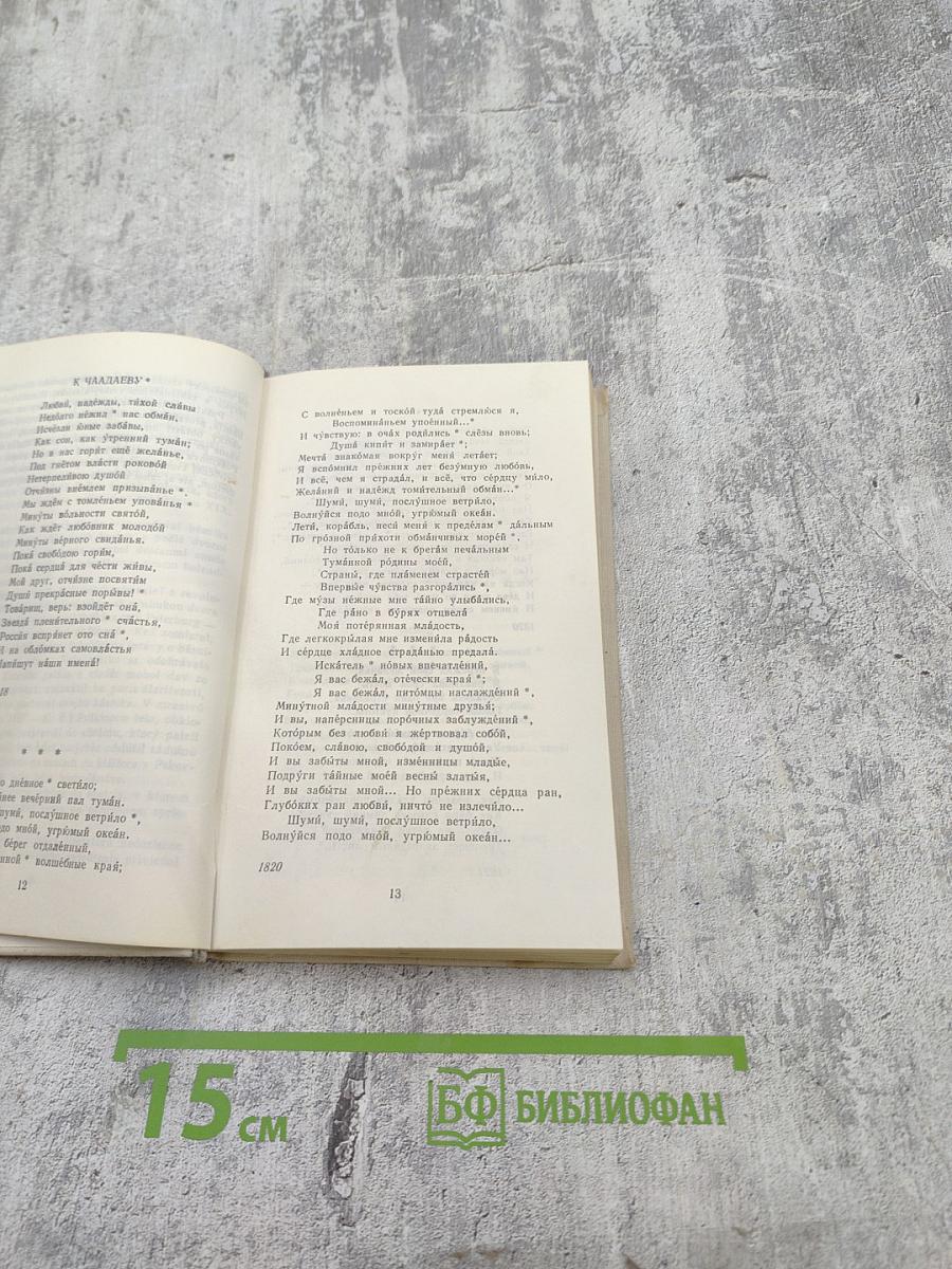 Десять русских поэтов