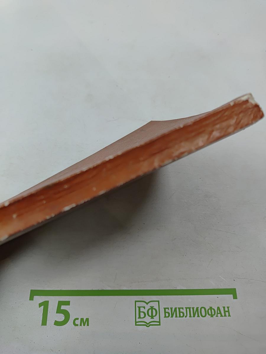 На островах викингов и пиратов