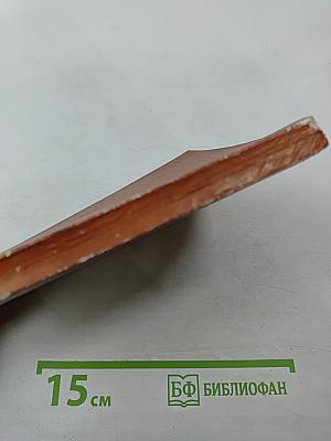 На островах викингов и пиратов