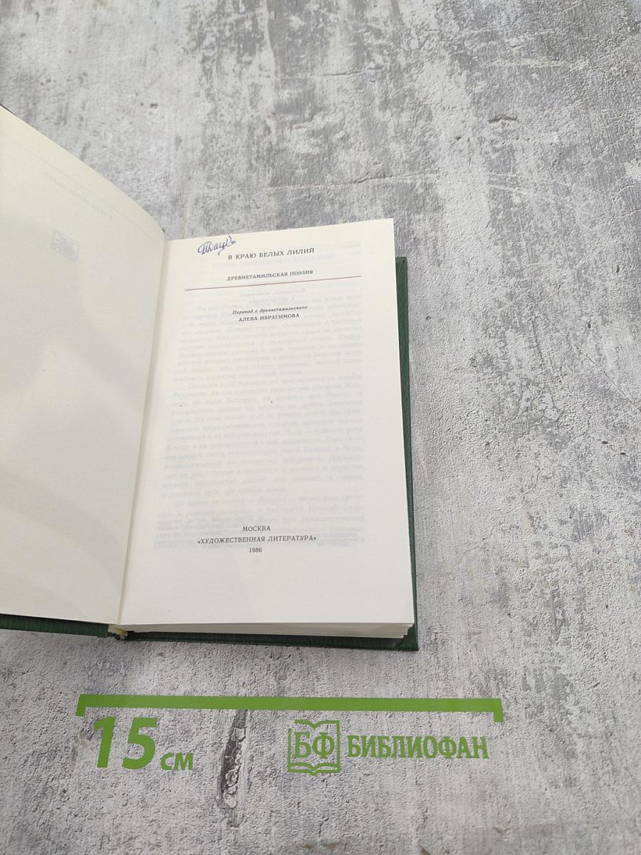 В краю белых лилий