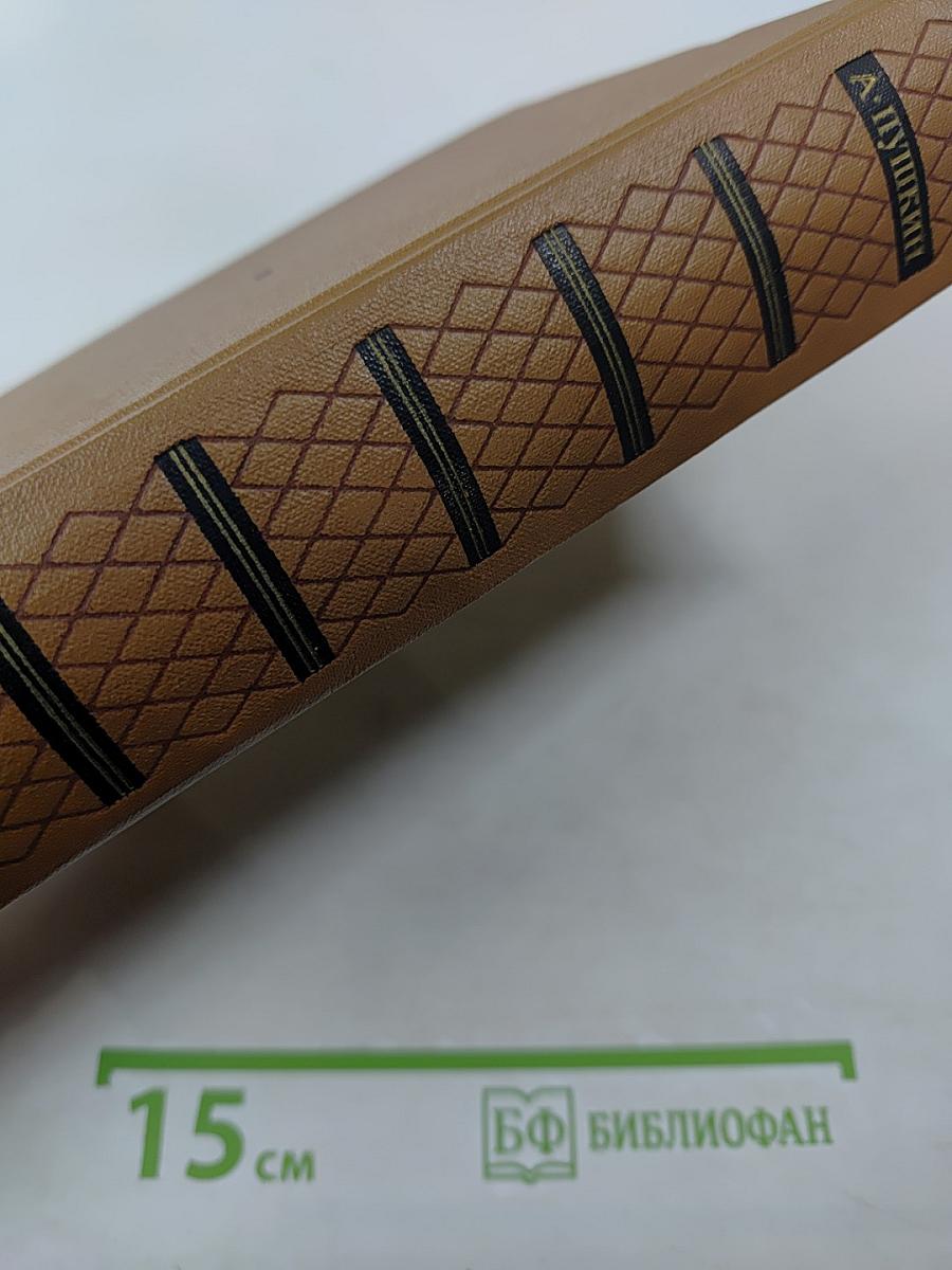 Критика и публицистика. Том шестой