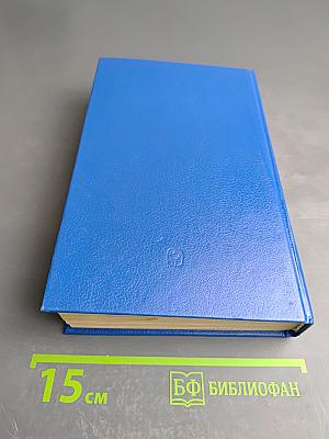 Русская история. Полный курс лекций в трех книгах. Книга вторая