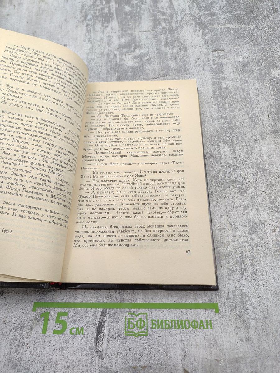 Братья Карамазовы, часть 1