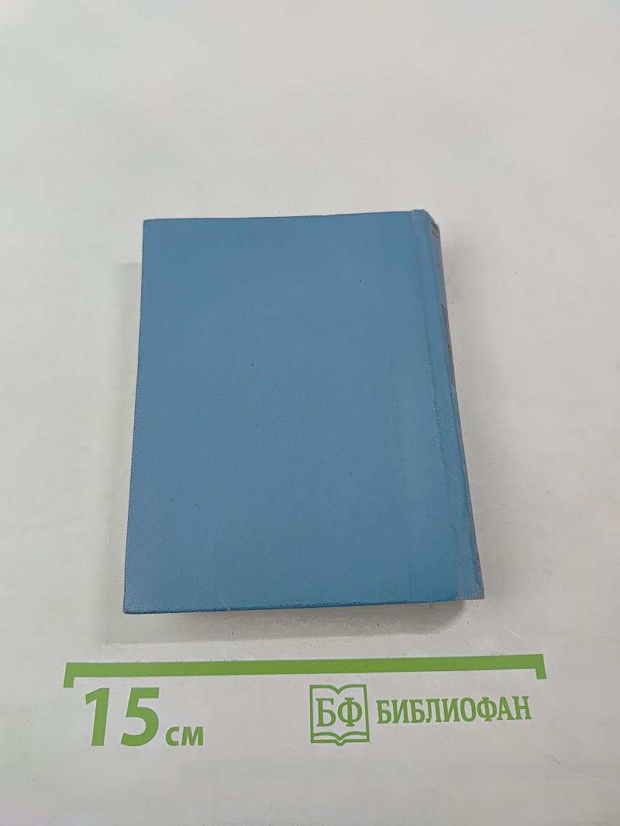 Витязь в тигровой шкуре