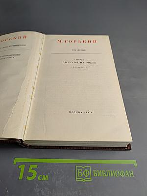 Трое. Рассказы, наброски 1899-1901. Том пятый