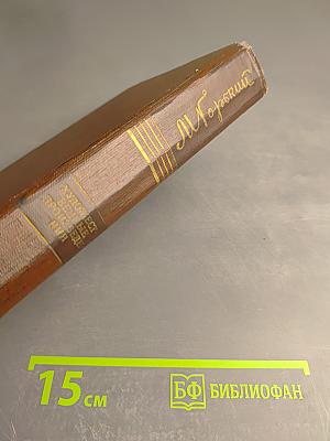 Трое. Рассказы, наброски 1899-1901. Том пятый