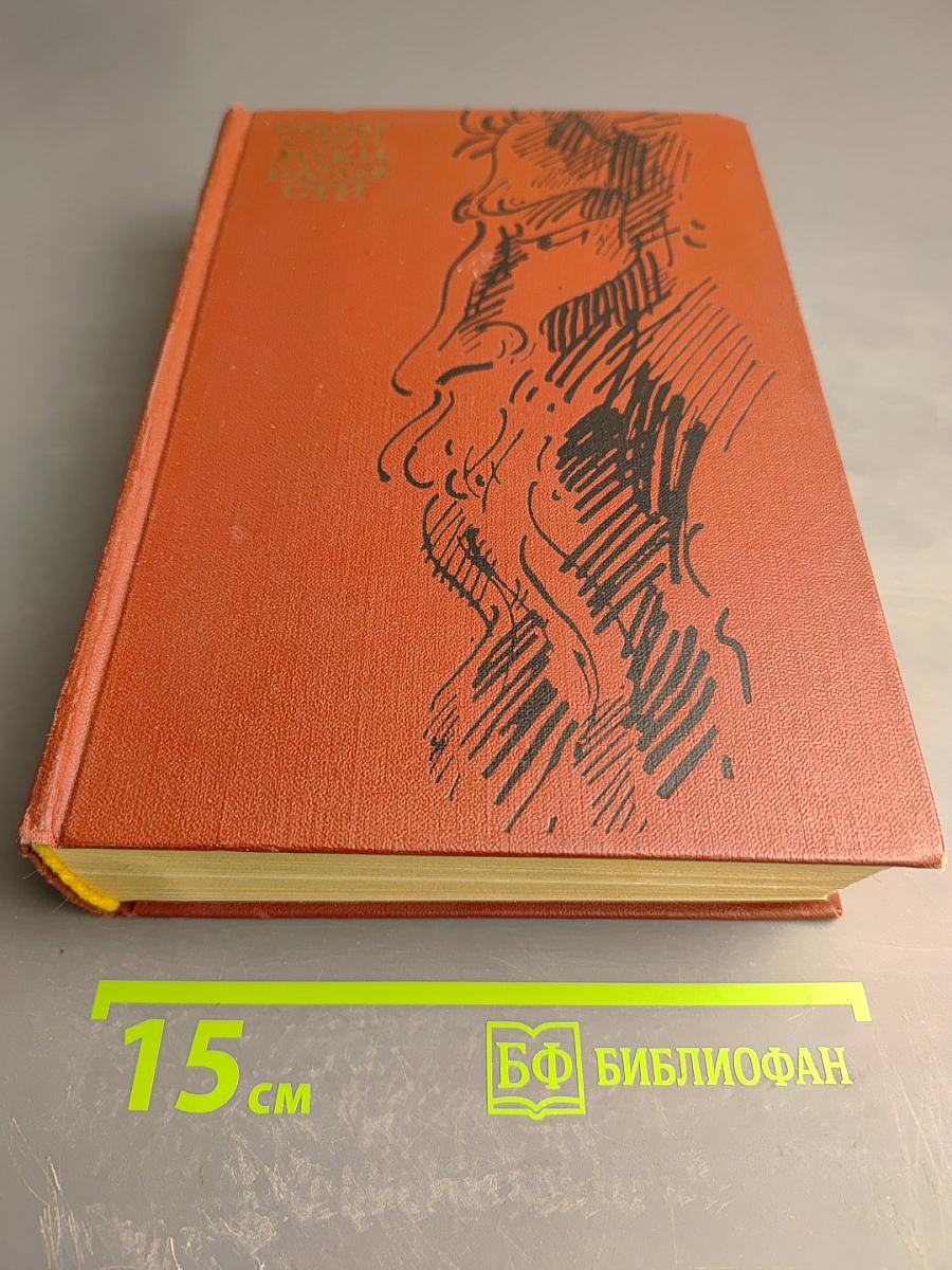 Муки радости. Роман о Микеланджело