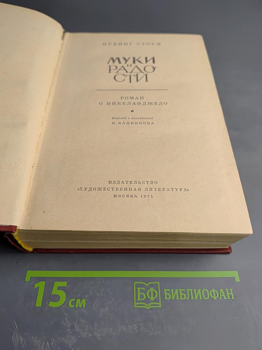 Муки радости. Роман о Микеланджело