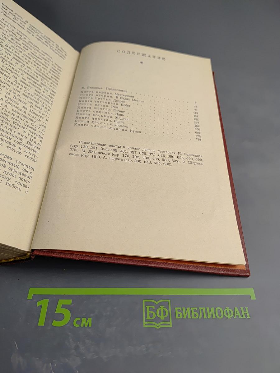 Муки радости. Роман о Микеланджело