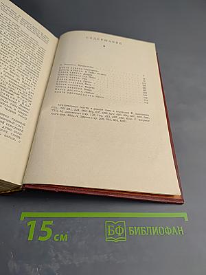 Муки радости. Роман о Микеланджело