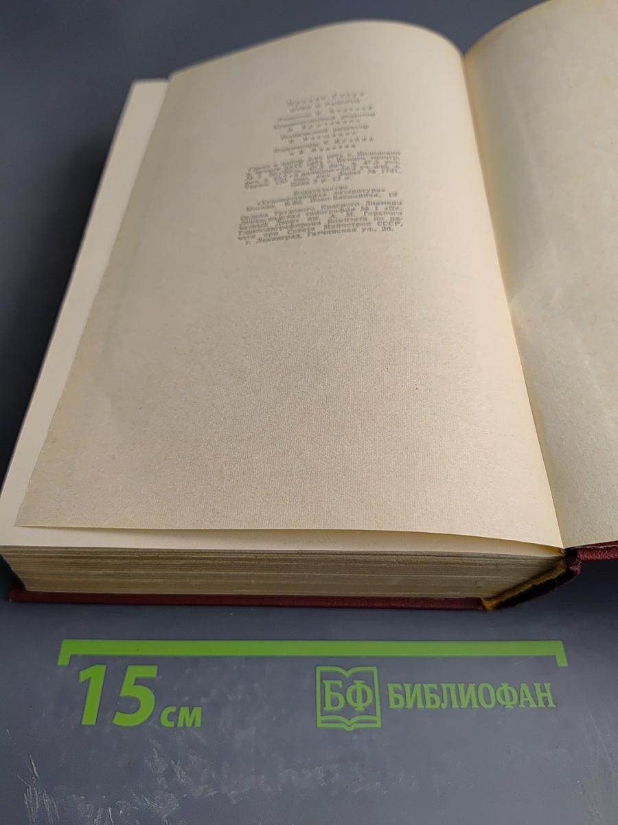 Муки радости. Роман о Микеланджело