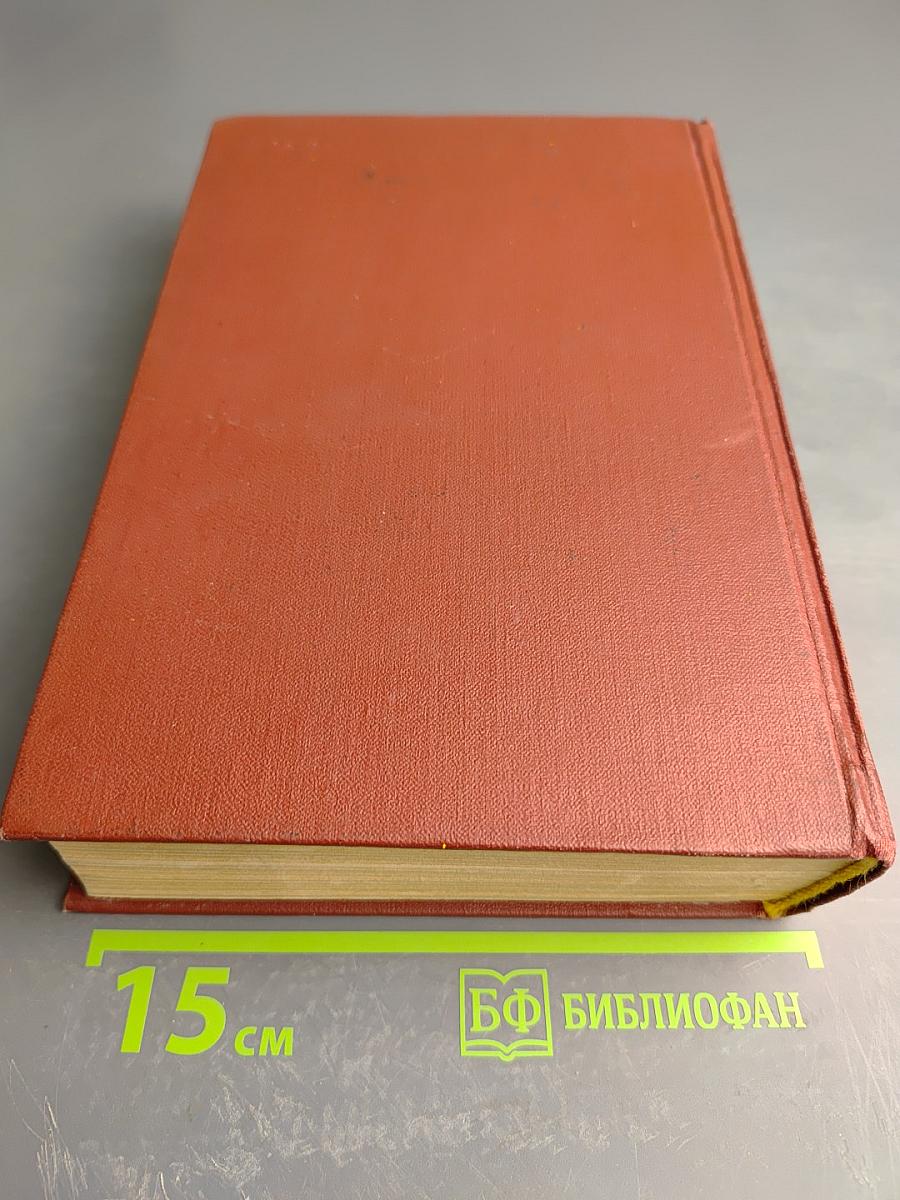 Муки радости. Роман о Микеланджело