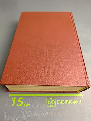 Муки радости. Роман о Микеланджело