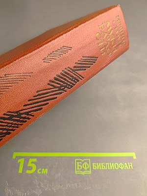 Муки радости. Роман о Микеланджело