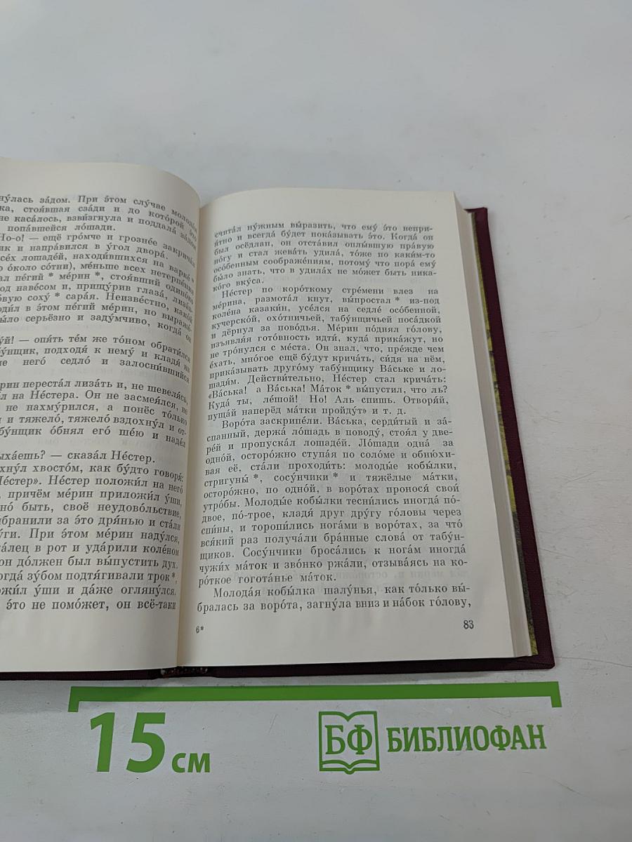 Повести и рассказы. Книга для чтения с комментарием на английском языке