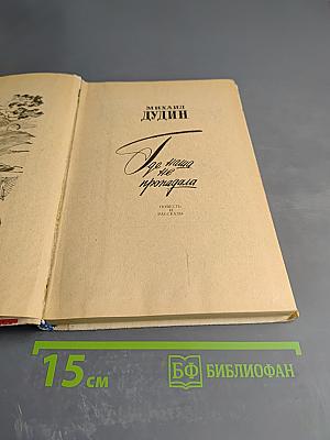 Где наша не пропадала