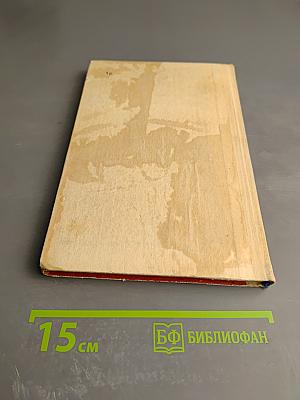 Где наша не пропадала